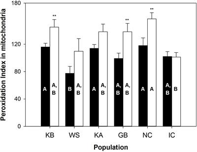 Mitochondrial Traits Previously Associated With Species Maximum Lifespan Do Not Correlate With Longevity Across Populations of the Bivalve Arctica islandica